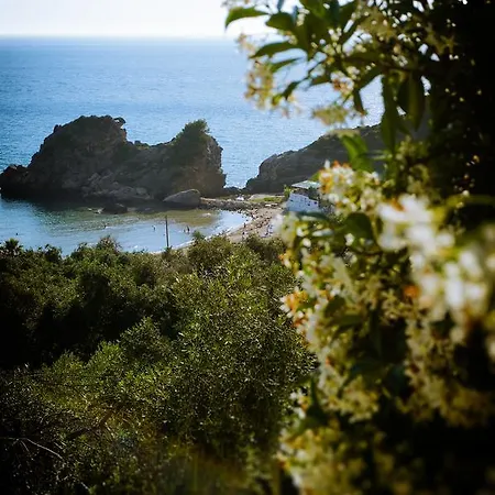 Fotini's - * بيليكاس