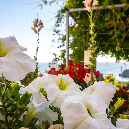 Fotini's - شقة بيليكاس