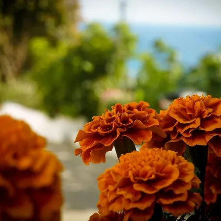 Fotini's - Appartamento